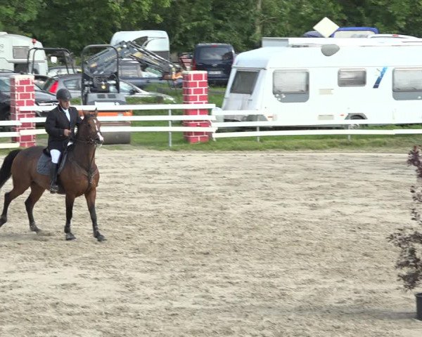 Reitturnier Aesch (Neftenbach) 2020
