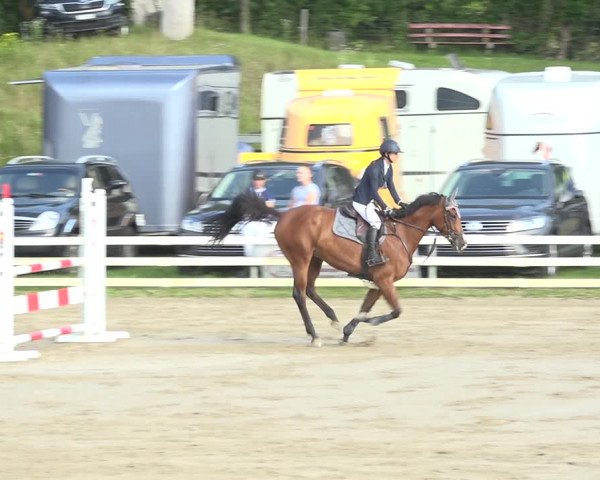 Reitturnier Aesch (Neftenbach) 2020