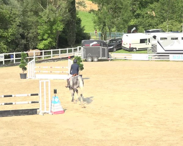 Reitturnier Aesch (Neftenbach) 2020