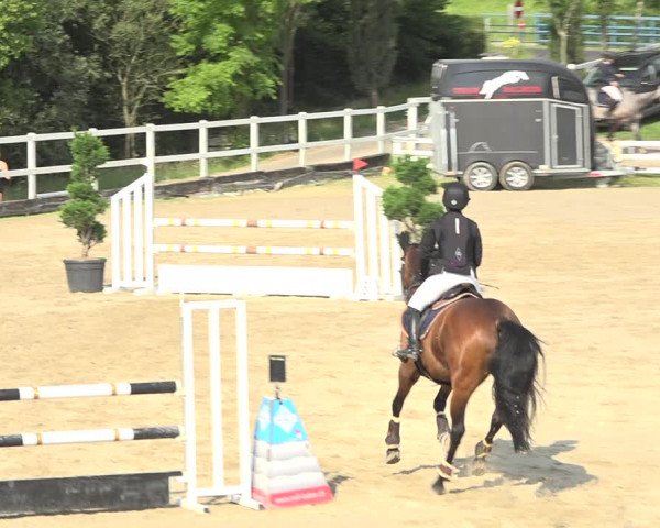 Reitturnier Aesch (Neftenbach) 2020