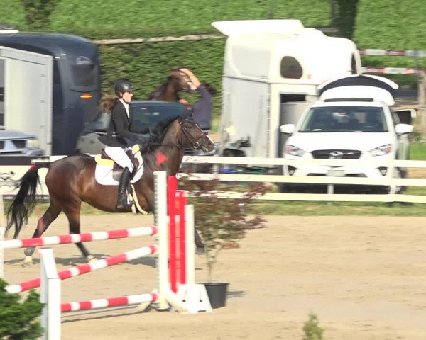 Reitturnier Aesch (Neftenbach) 2020