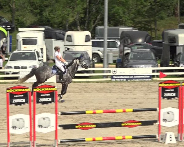 Reitturnier Aesch (Neftenbach) 2020