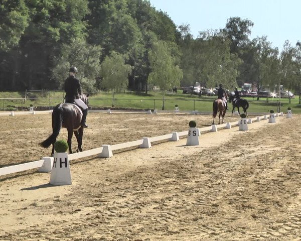 Reitturnier Reitanlage Birkenhof, Perl-Sinz 2020