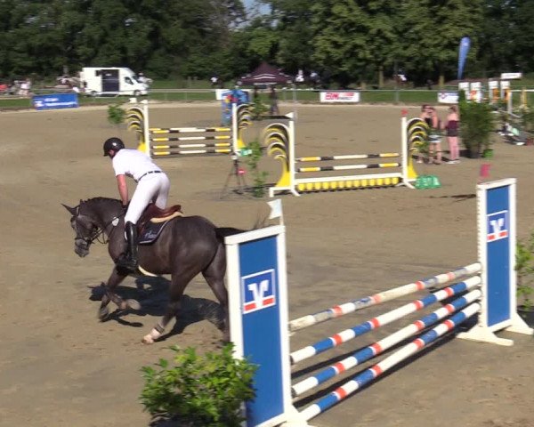 Reitturnier Coesfeld/Lette 2020