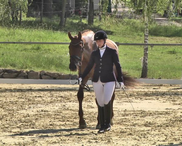 Reitturnier Reitanlage Birkenhof, Perl-Sinz 2020