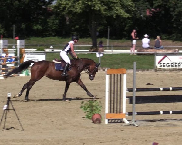 Reitturnier Coesfeld/Lette 2020