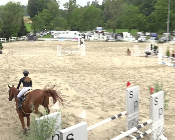 Reitturnier Aesch (Neftenbach) 2020