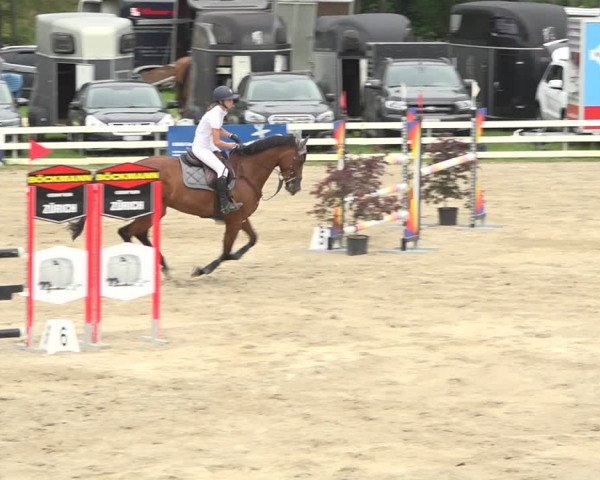 Reitturnier Aesch (Neftenbach) 2020