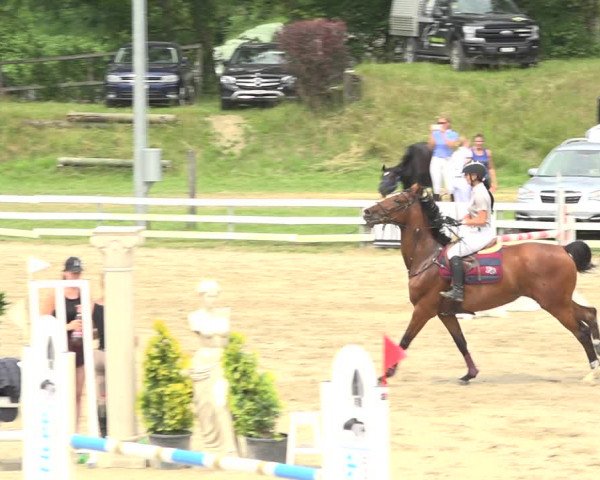 Reitturnier Aesch (Neftenbach) 2020