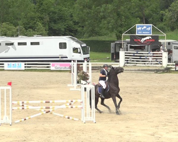 Reitturnier Aesch (Neftenbach) 2020