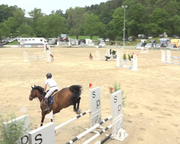 Reitturnier Aesch (Neftenbach) 2020