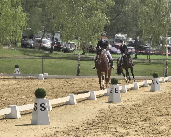 Reitturnier Reitanlage Birkenhof, Perl-Sinz 2020