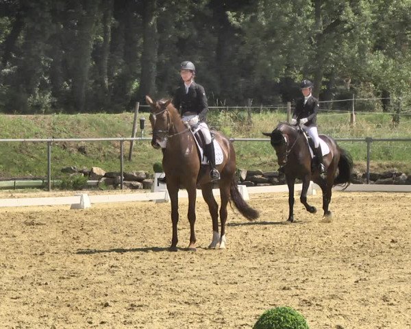 Reitturnier Reitanlage Birkenhof, Perl-Sinz 2020