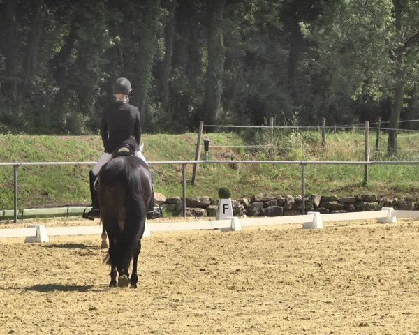Reitturnier Reitanlage Birkenhof, Perl-Sinz 2020
