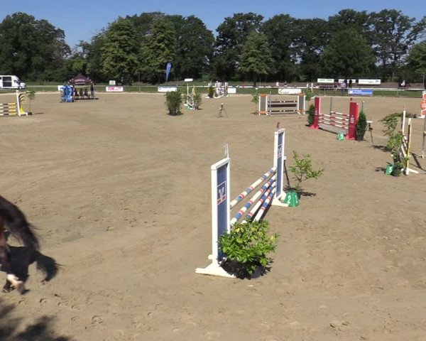 Reitturnier Coesfeld/Lette 2020