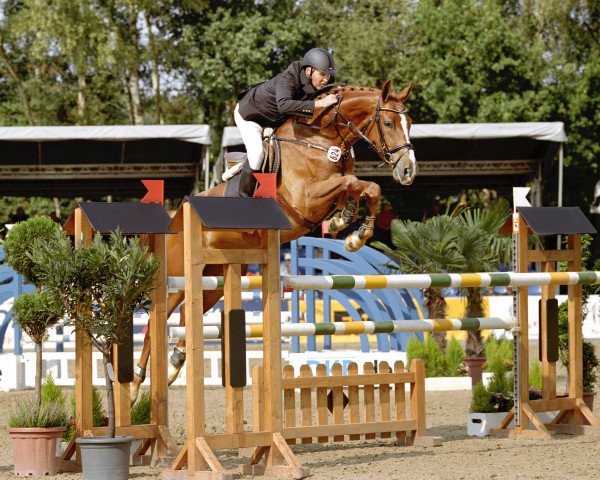 Springpferd Liberty Lux (Westfale, 2009, von Lupicor)