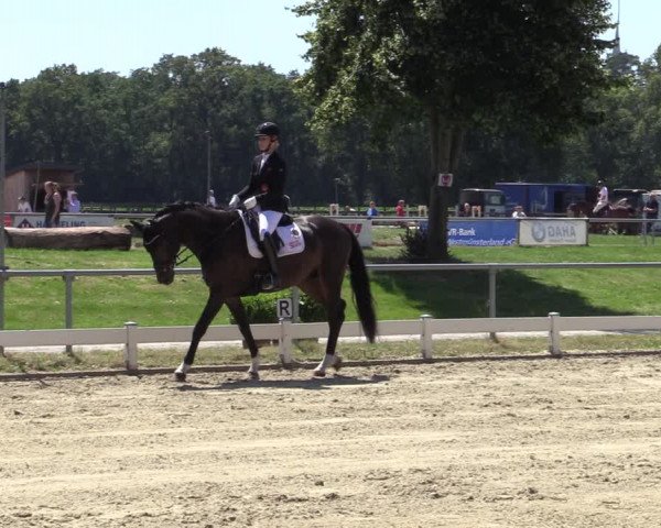 Rideturnering Coesfeld/Lette 2020