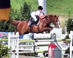jumper Montecelli 5 (German Riding Pony, 2007, from Mentos Charmeur)
