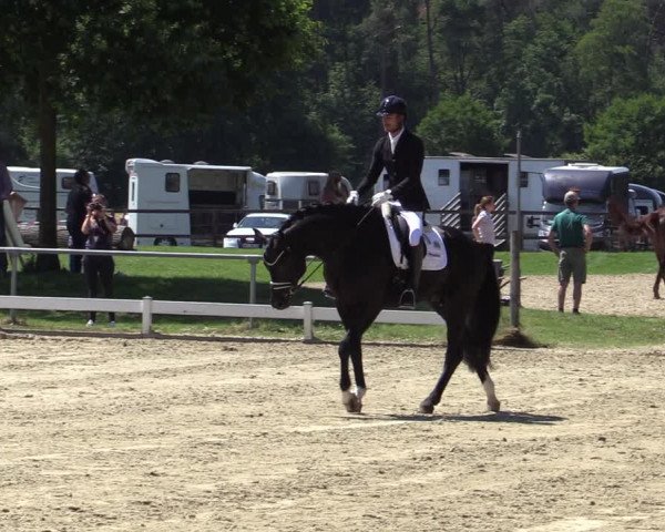Reitturnier Coesfeld/Lette 2020