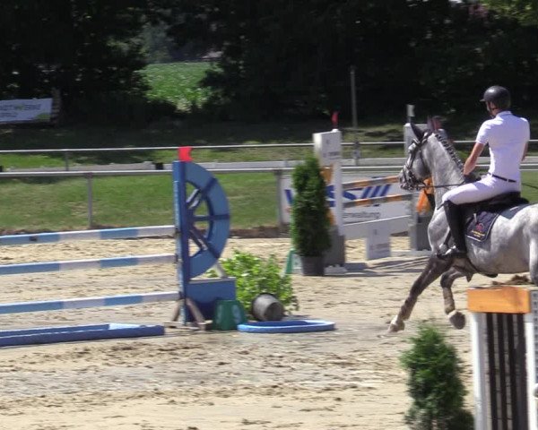 Reitturnier Coesfeld/Lette 2020