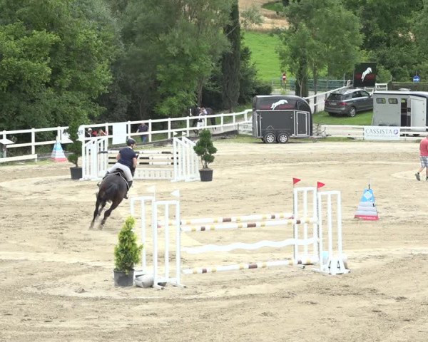 Reitturnier Aesch (Neftenbach) 2020
