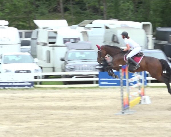 Reitturnier Aesch (Neftenbach) 2020