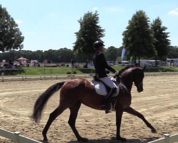 Reitturnier Coesfeld/Lette 2020