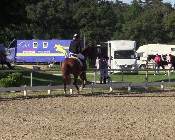 Reitturnier Coesfeld/Lette 2020