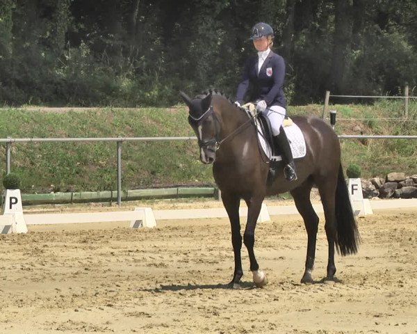 Reitturnier Reitanlage Birkenhof, Perl-Sinz 2020