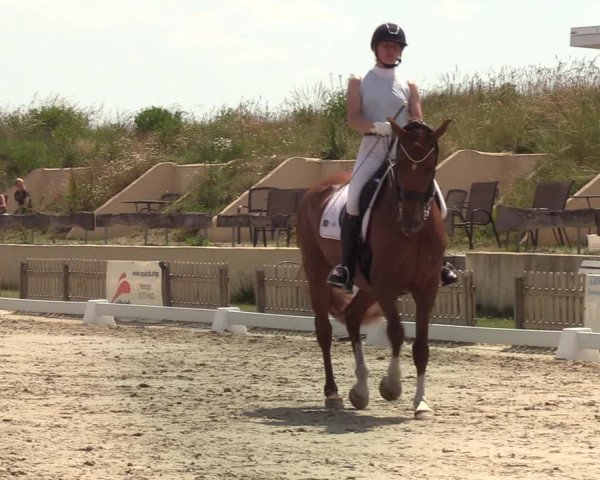 Reitturnier Schülp / Rendsburg 2020