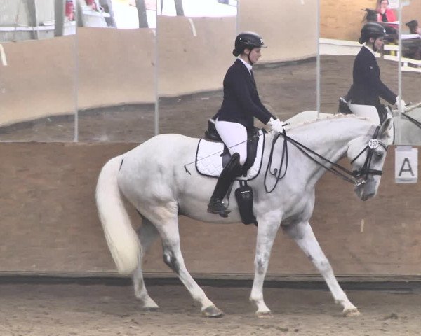 Reitturnier Reitanlage Birkenhof, Perl-Sinz 2020