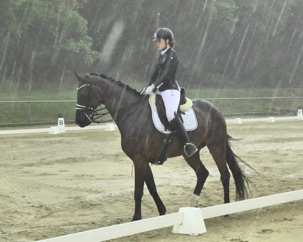 Reitturnier Reitanlage Birkenhof, Perl-Sinz 2020