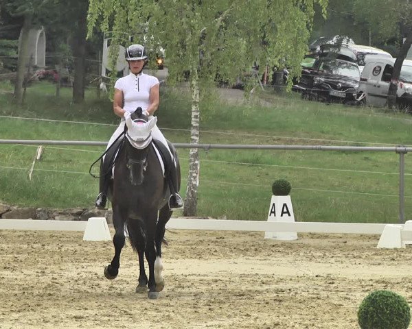 Reitturnier Reitanlage Birkenhof, Perl-Sinz 2020