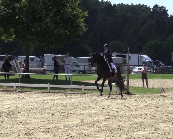 Reitturnier Coesfeld/Lette 2020