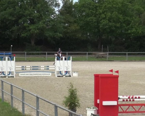 Reitturnier Langenfeld - Gut Langfort 2020