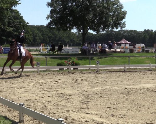 Reitturnier Coesfeld/Lette 2020