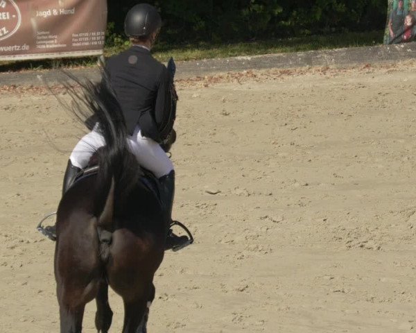 Reitturnier Leingarten 2021