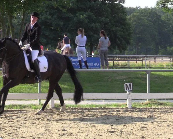 Reitturnier Coesfeld/Lette 2020