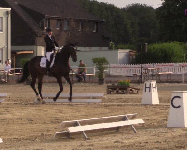 Reitturnier Hünxe-Bruckhausen 2020