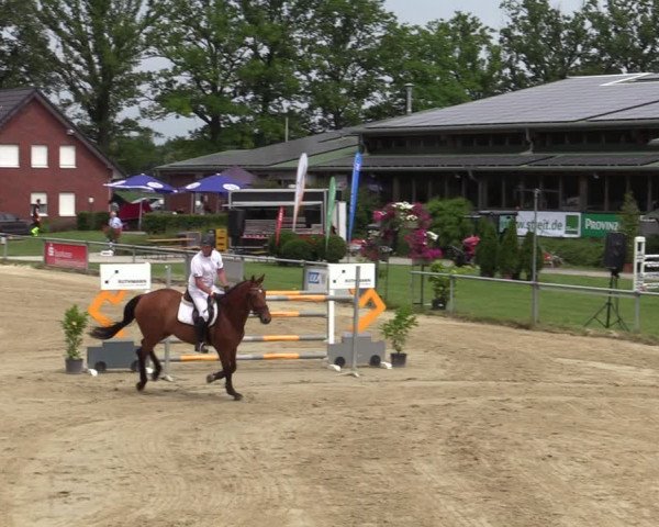 Reitturnier Coesfeld/Lette 2020