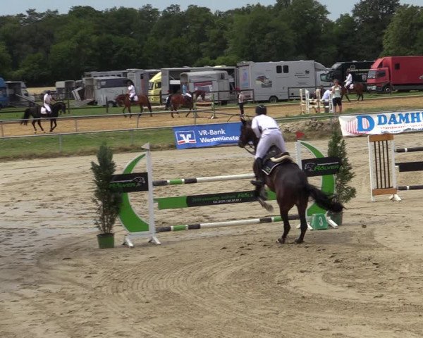 Reitturnier Coesfeld/Lette 2020