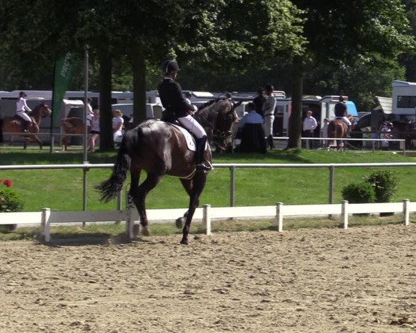 Reitturnier Coesfeld/Lette 2020