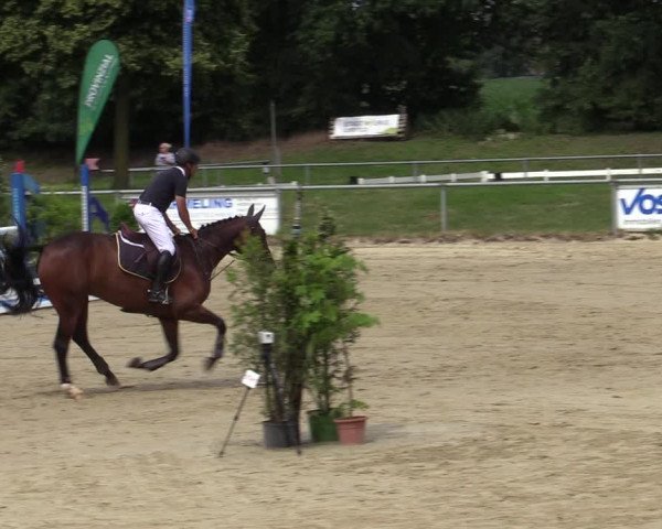Reitturnier Coesfeld/Lette 2020