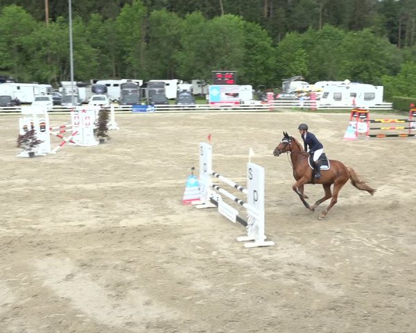 Reitturnier Aesch (Neftenbach) 2020