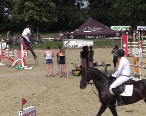 Reitturnier Coesfeld/Lette 2020