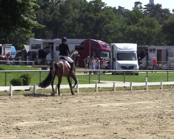 Reitturnier Coesfeld/Lette 2020