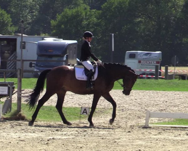 Reitturnier Coesfeld/Lette 2020