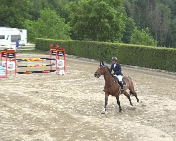 Reitturnier Aesch (Neftenbach) 2020