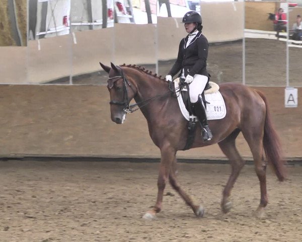 Reitturnier Reitanlage Birkenhof, Perl-Sinz 2020
