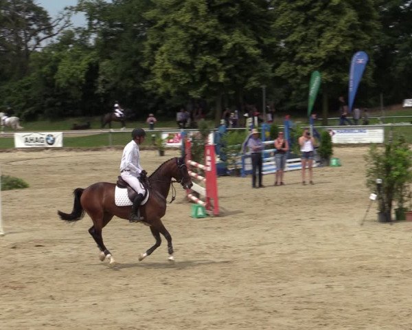 Reitturnier Coesfeld/Lette 2020